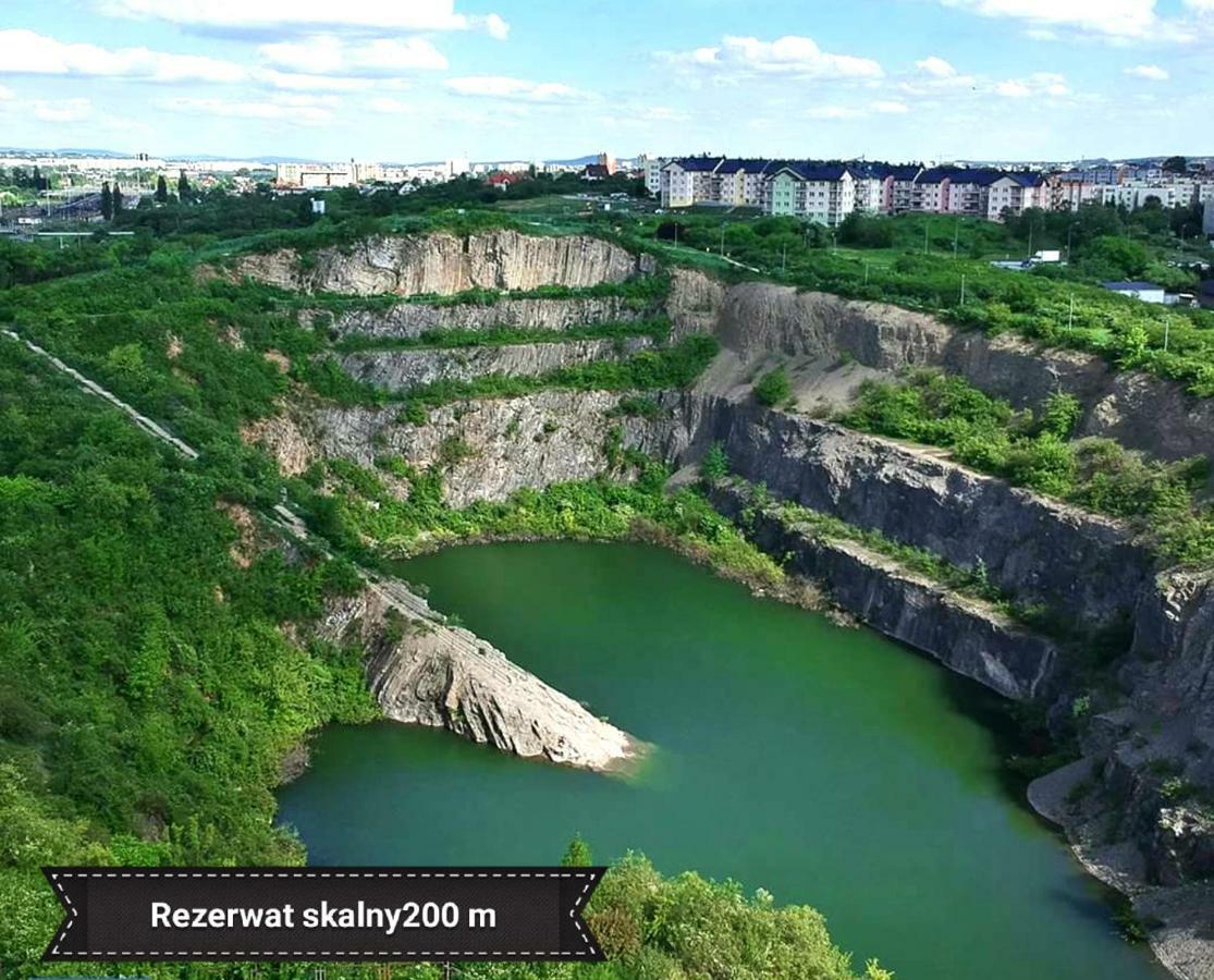 Black Rose Apartament Targi 3 Km, F-Ry Vat Kielce Buitenkant foto